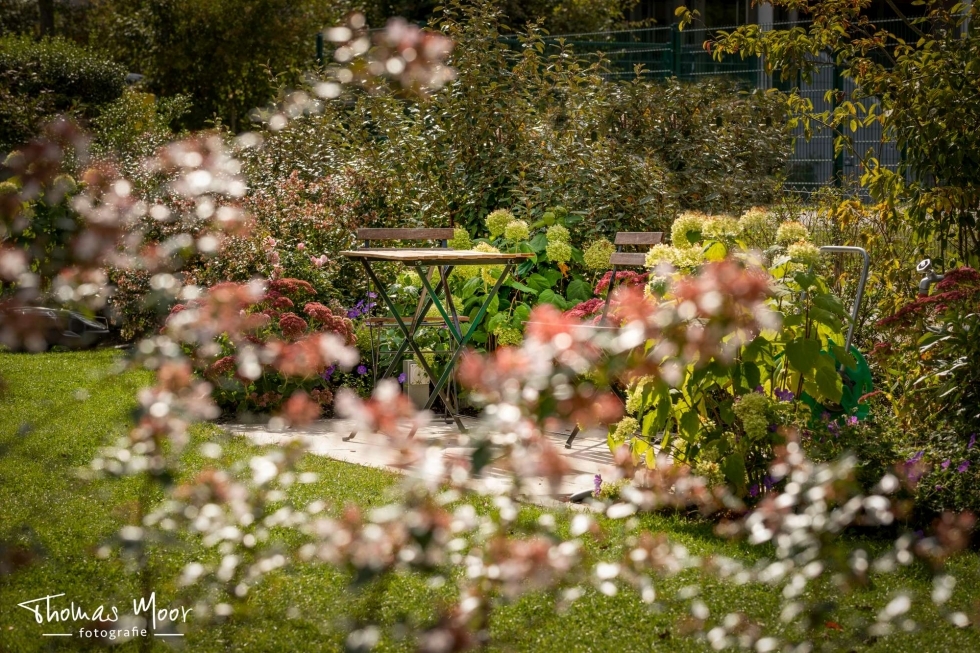 Moor-Nebel Gärtnerei GmbH seit 1991 Gartenbau, Gartenpflege, Gartenplanung