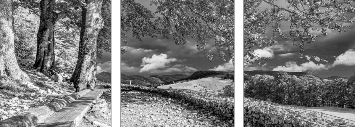 Feinart Prints von Thomas Moor Fotografie